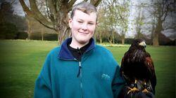 Banned Breeds, a Fire Detection Dog and a Harris Hawk Banned Breeds, a Fire Detection Dog and a Harris Hawk