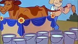 County Fair