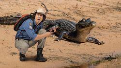 Caiman Caiman
