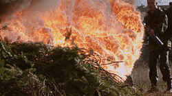 Flamethrowers Flamethrowers