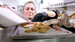 Top Chef Is No Picnic Top Chef Is No Picnic