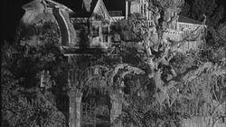 Munsters on the Move Munsters on the Move