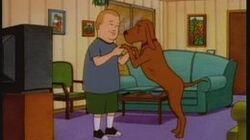 Dances with Dogs Dances with Dogs