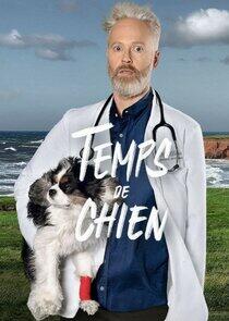 Temps de chien Temps de chien