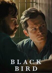 Black Bird Black Bird