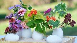 From Farm to Plate & Vase From Farm to Plate & Vase