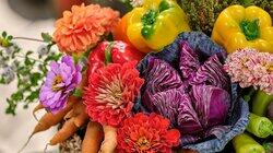 Vegetables and Flowers Vegetables and Flowers