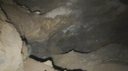 Green Creature in Aruba Cave and More Green Creature in Aruba Cave and More