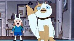 Cake the Cat Cake the Cat