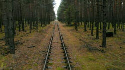 Nazi Doomsday Forest Nazi Doomsday Forest