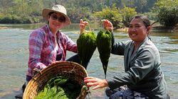 Laos Laos