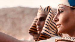 Tut's Tomb Tut's Tomb