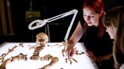 Iron Age Revealed Iron Age Revealed
