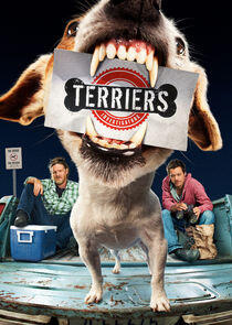 Terriers Terriers