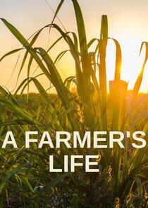 A Farmer's Life A Farmer's Life