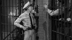 Aunt Bee the Warden
