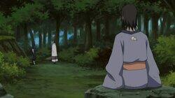 Rogue Ninja's Past Rogue Ninja's Past