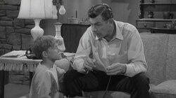 Aunt Bee's Romance Aunt Bee's Romance