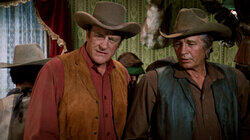 The Town Tamers