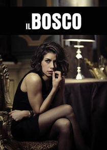 Il bosco Il bosco
