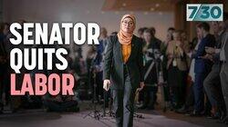 Senator Quits Labor Senator Quits Labor