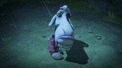 You Herd It Here First, Part 1