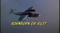 Boragora or Bust