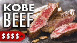 Tasting A5 Kobe Beef for the First Time | Japanese Wagyu Tasting A5 Kobe Beef for the First Time | Japanese Wagyu