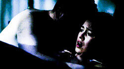 Newlywed Nightmare Newlywed Nightmare