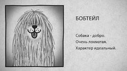 07 Бобтейл