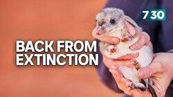 Back From Extinction Back From Extinction
