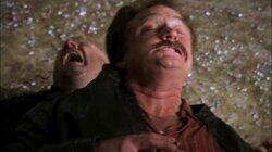 Don't Tase Me, Bro Don't Tase Me, Bro