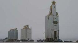 Tall Towers Tall Towers