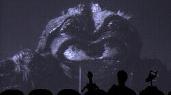The Black Scorpion The Black Scorpion