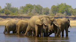 Elephant Valley Elephant Valley