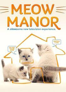 Meow Manor Meow Manor