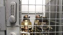 Into the Dalek Into the Dalek