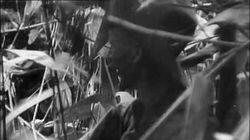 The Doolittle Raid The Doolittle Raid