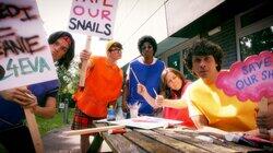 Save Our Snails Save Our Snails