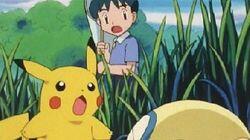 The Dunsparce Deception The Dunsparce Deception