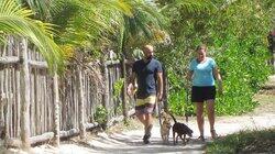 Enjoying Life in the Slow Lane on Holbox Enjoying Life in the Slow Lane on Holbox