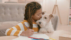Dogs Dogs