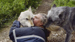 One With the Wolves One With the Wolves