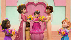 Princess Royal Wedding Princess Royal Wedding