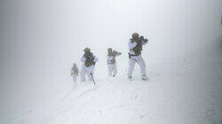 Alpine Assault Alpine Assault