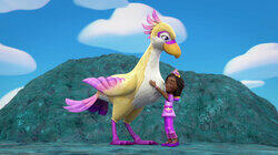 Princess Nest Pest Princess Nest Pest