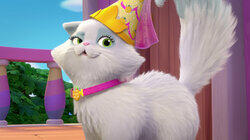 Happy Princess Birthday, Fussy! Happy Princess Birthday, Fussy!