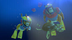 Night Dive Night Dive