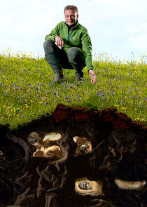 The Burrowers: Animals Underground The Burrowers: Animals Underground