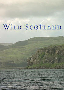 Wild Scotland Wild Scotland